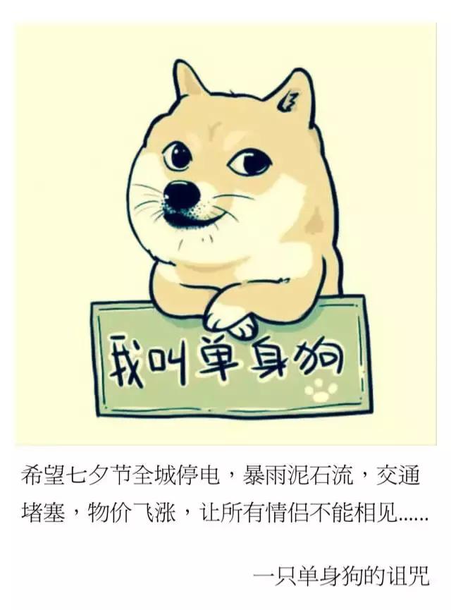 情人节后什么行业会有转折,情人节过后花店生意差