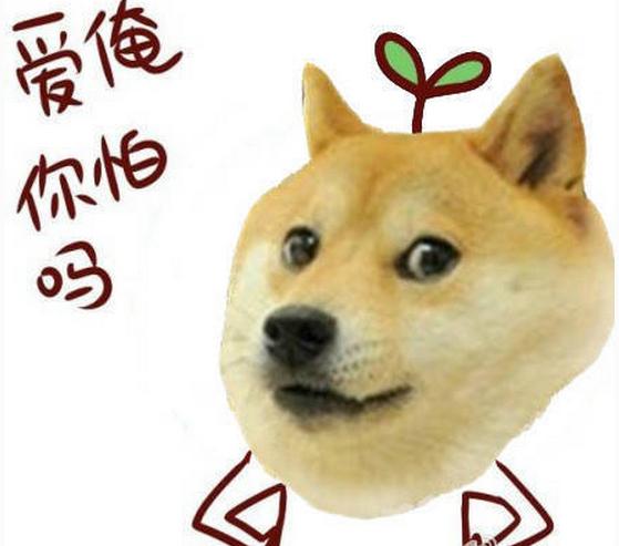 男子买错机票班次改签,男子误抢特价机票后退票