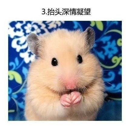 男子买错机票班次改签,男子误抢特价机票后退票