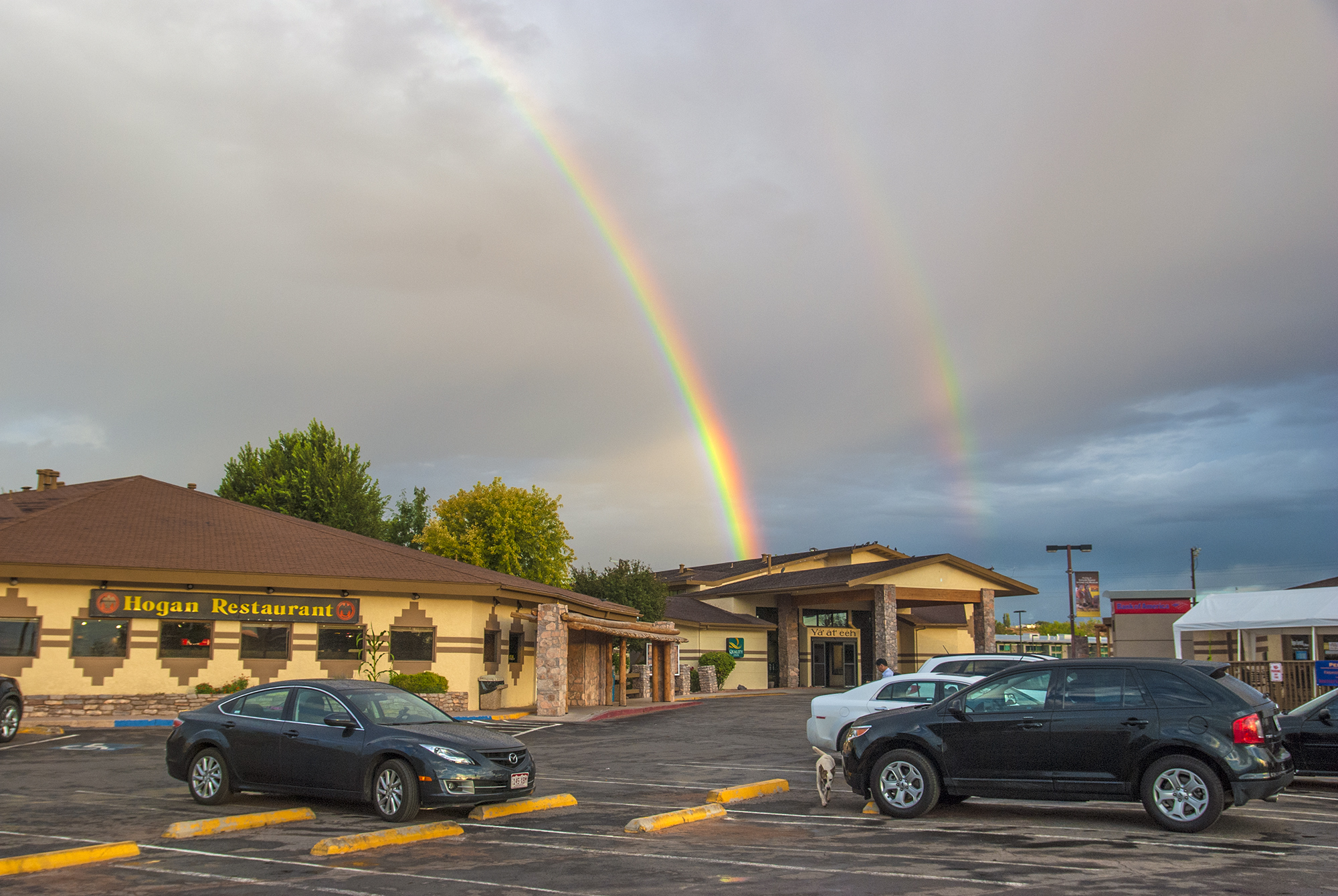 有关彩虹的知识有哪些,彩虹拍摄技巧大全图解