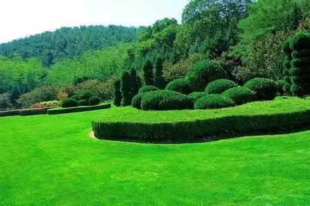 澶ц繛涓栦簨娌ф,澶ц繛鑺濇牴鑺濆簳