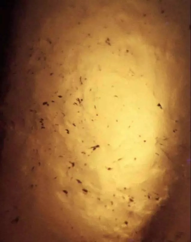 翡翠的abcd货的基本鉴定特征,如何鉴别b货翡翠和天然翡翠