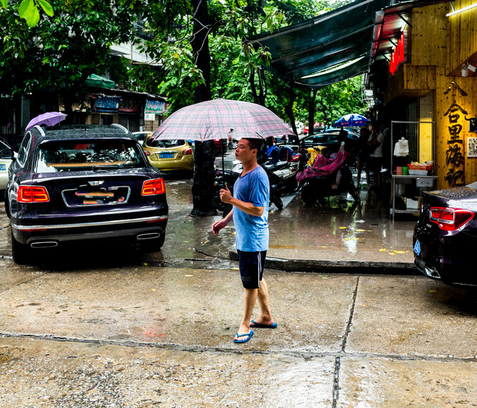 论一个吃货的自我修养小说,论一个吃货的自我修养