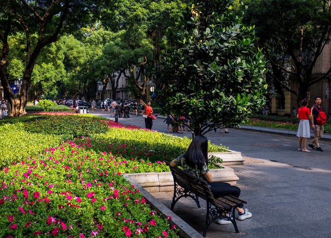 论一个吃货的自我修养小说,论一个吃货的自我修养