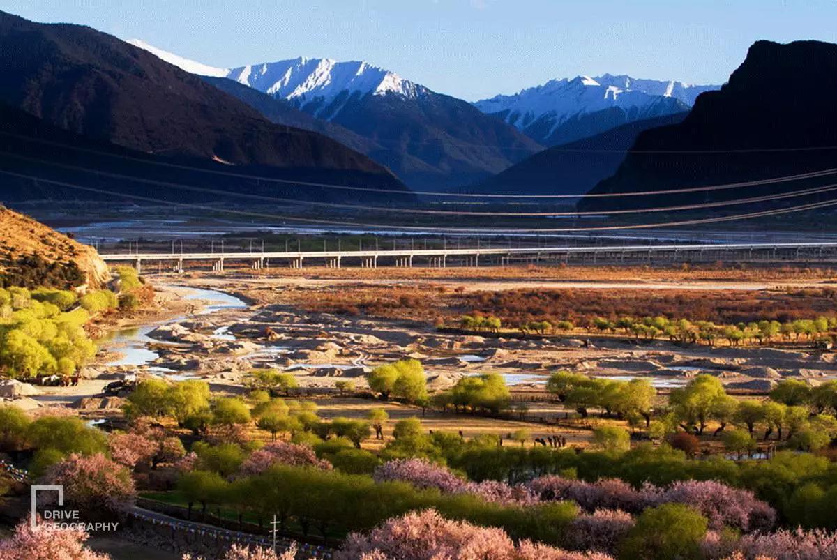 连联合国都赞不绝口的百里桃花,你真的不带她看一下吗?