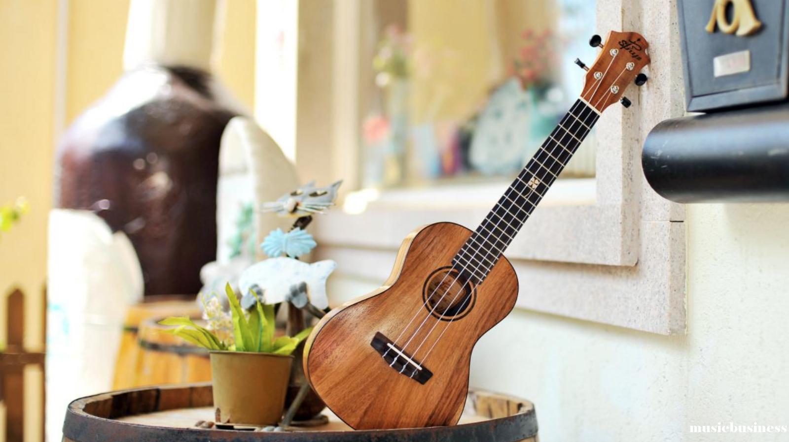 尤克里里现在好做吗,卖尤克里里赚钱吗