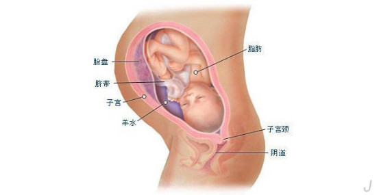 分娩过程中大小便失禁,产房十大最尴尬的事列表