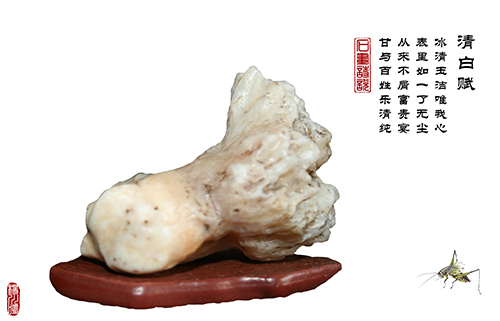 珍馐佳肴饕餮宴,珍馐佳肴宴宾朋