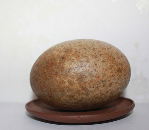 珍馐佳肴饕餮宴,珍馐佳肴宴宾朋