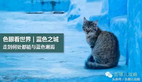 突尼斯对中国人免签最新消息,突尼斯对中国游客免签新华社