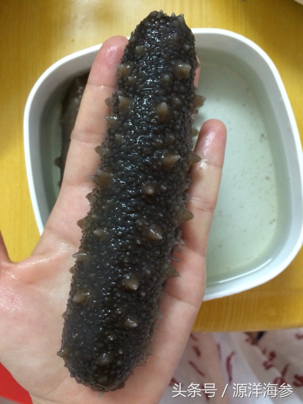 鉴别海参真假视频,辨别即食海参真假