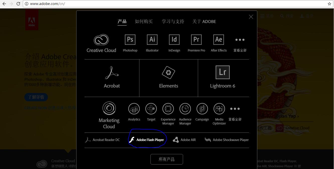 win10浏览器不能播放视频怎么解决,win10浏览器无法上网怎么解决