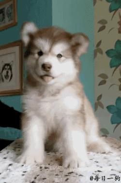 无系*江阳**佬都无知你讲出咪嘢来!