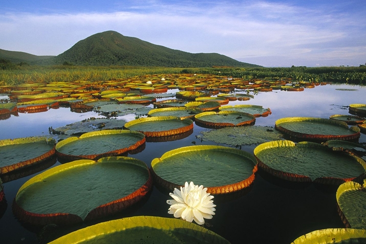 中国温泉之乡雄县,孙连仲的将军故里