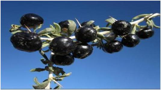 男人期待女人爱你,男人对女人的爱是永远的牵挂