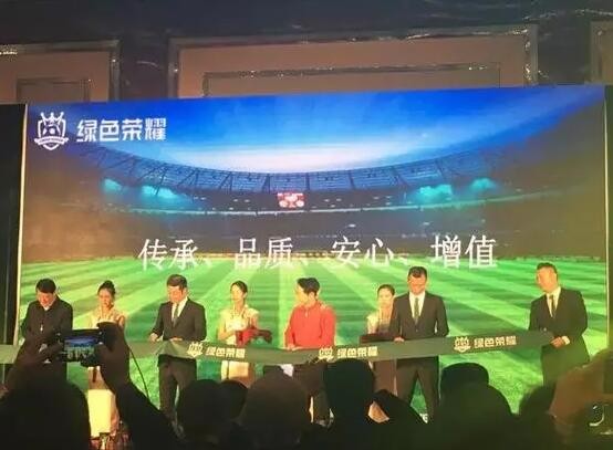 足坛忠诚故事：京城风云，龙队传说