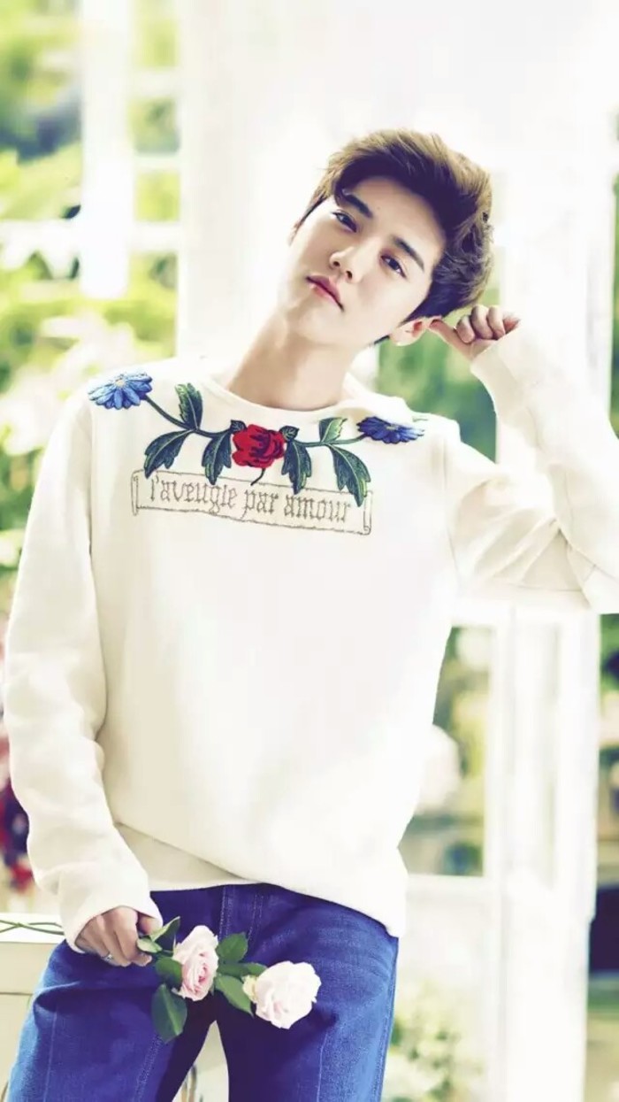 苹果11壁纸猫耳朵鹿晗,鹿晗图片高清壁纸全屏