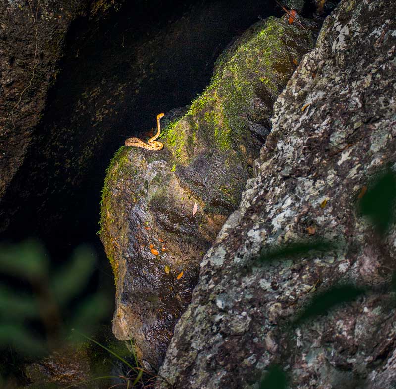 雨天永泰百漈沟景区,别有洞天溶洞
