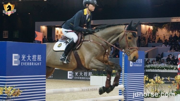 浪琴马术大师赛观众席,浪琴马术香港大师赛