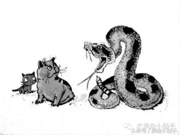 看龙虎榜都看些什么？