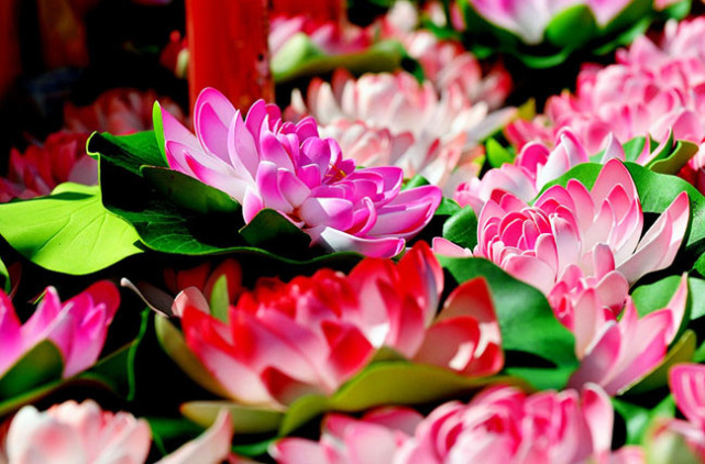 一次说走就走的旅游海南三亚,一次说走就走说回就回的旅行