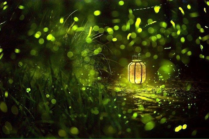 你只是一个人，因为你不会这些“撩妹”神技能