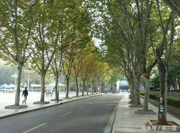 广州黄埔最大的学校,中国最牛的学校黄埔军校