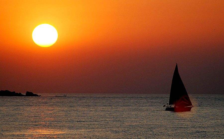 情人节没有玫瑰但无所谓,情人节ysl香水