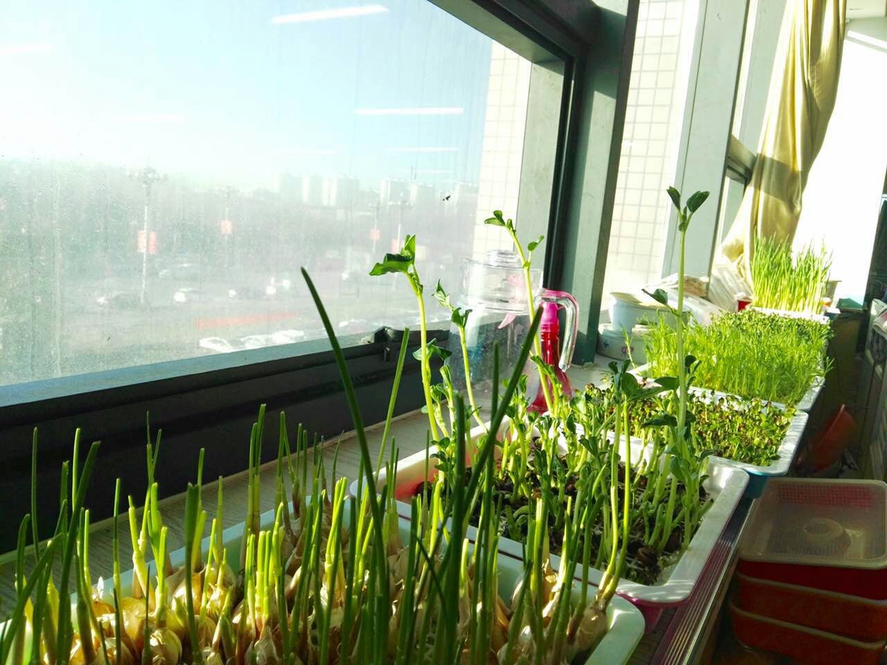 降三高美容养颜的水果,健康抗癌防癌的菜谱