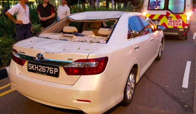 又倒了！那些年新加坡倒掉的大树，和它伤过的人