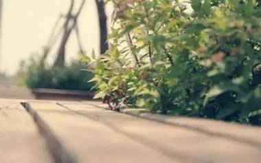 哇哦好棒日语怎么说,哇哦好棒英语怎么说