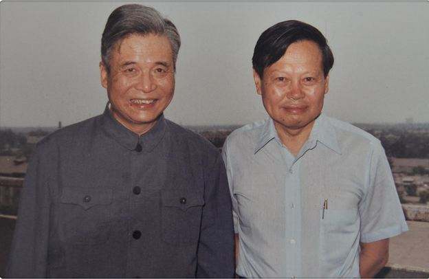 杨振宁和翁帆多大年龄结婚,翁帆嫁给杨振宁的年龄