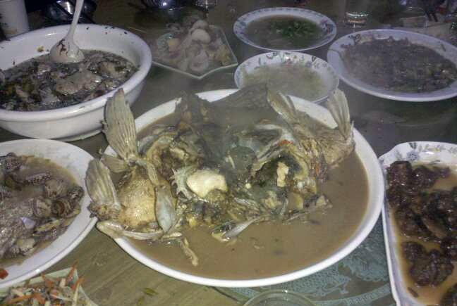 牛人自制钓鲢鱼饵,自制鱼竿钓七星鱼