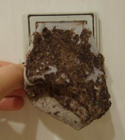 洗衣机半年不用会坏吗,洗衣机半年不洗有多脏