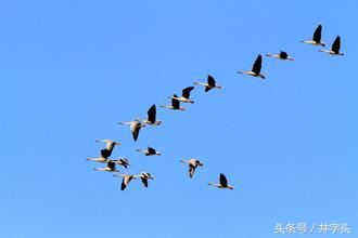 修习|道教绝对经典《抱朴子》,之一