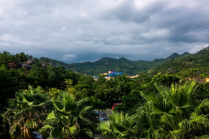 论一个吃货的自我修养小说,论一个吃货的自我修养