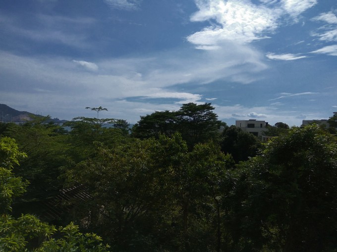 论一个吃货的自我修养小说,论一个吃货的自我修养