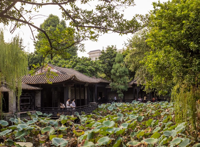 论一个吃货的自我修养小说,论一个吃货的自我修养