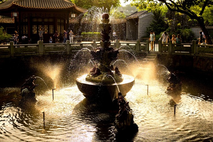 论一个吃货的自我修养小说,论一个吃货的自我修养