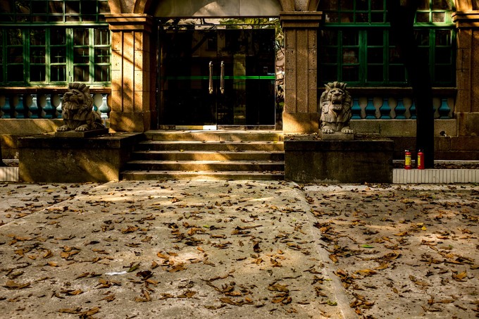 论一个吃货的自我修养小说,论一个吃货的自我修养