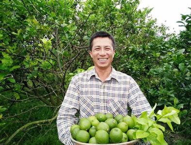 首创炸鸡配柠檬,德克士的这颗柠檬到底有多厉害