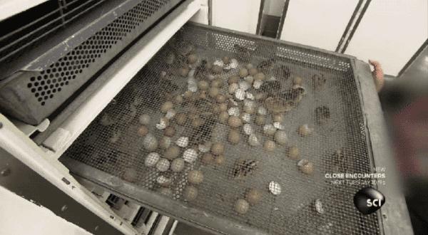 说出来你可能不信我是什么意思,说出来你可能不信是什么意思