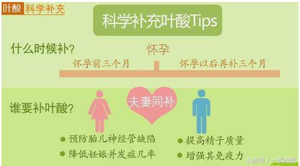 孕妇何时吃叶酸原来里面大有讲究,孕妇吃叶酸期间需要注意什么