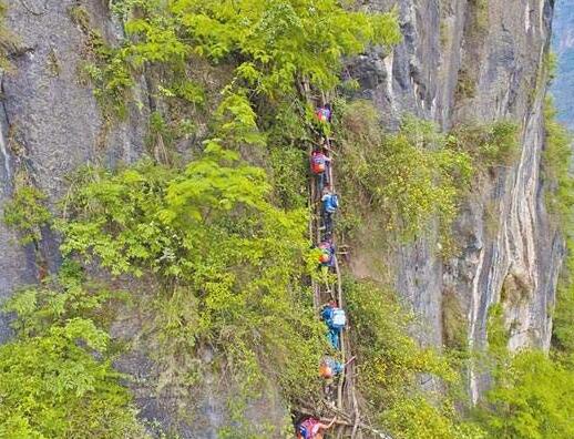 李时珍坚持尝百草的励志故事,尝遍百草的李时珍