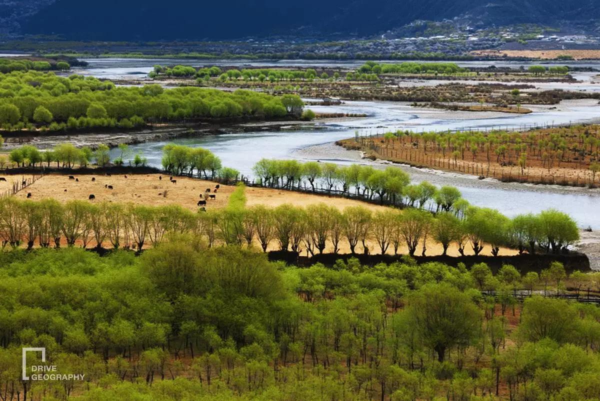 连联合国都赞不绝口的百里桃花,你真的不带她看一下吗?