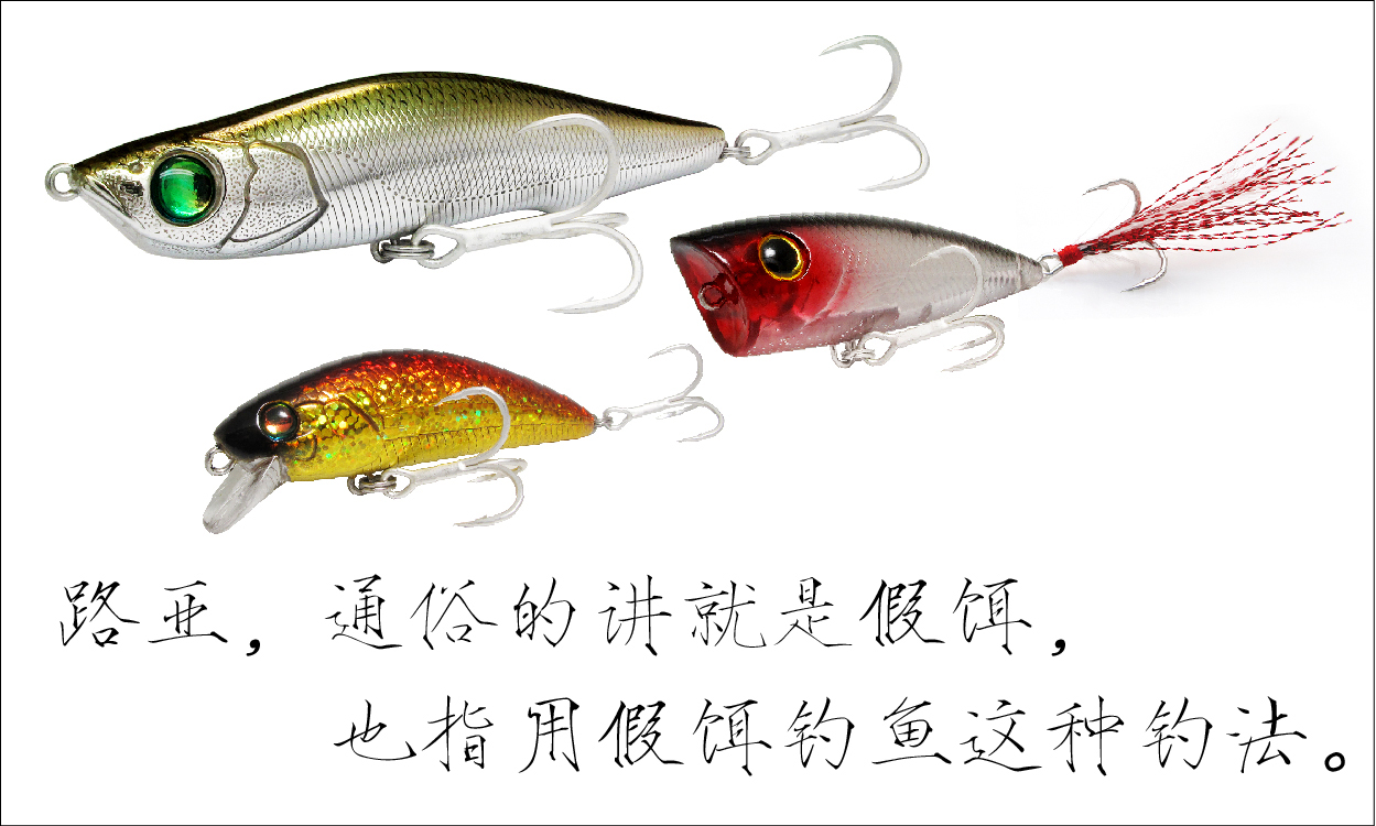 钓鱼就是享受不同种类的鱼,不一样的食肉鱼