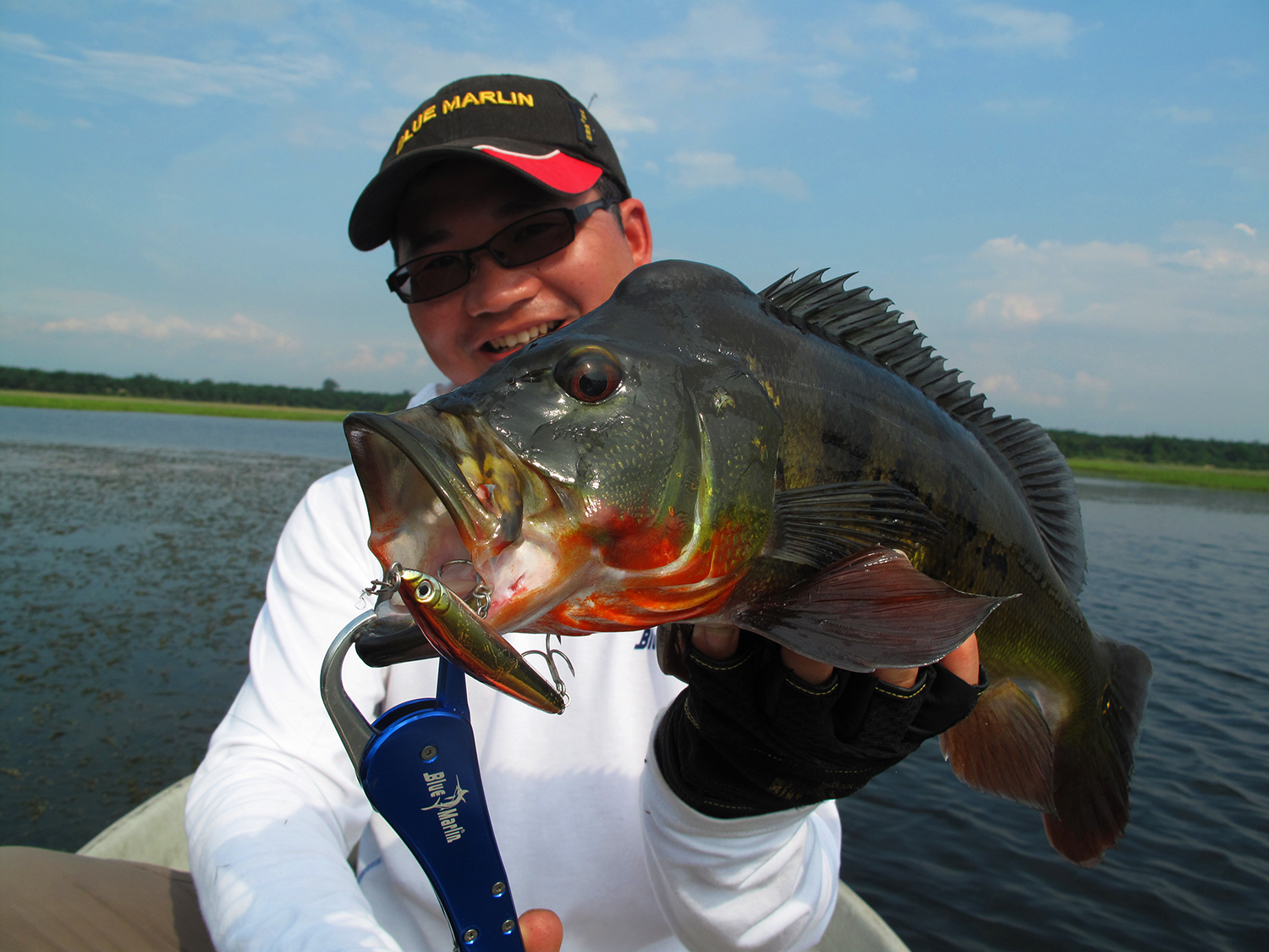 钓鱼就是享受不同种类的鱼,不一样的食肉鱼