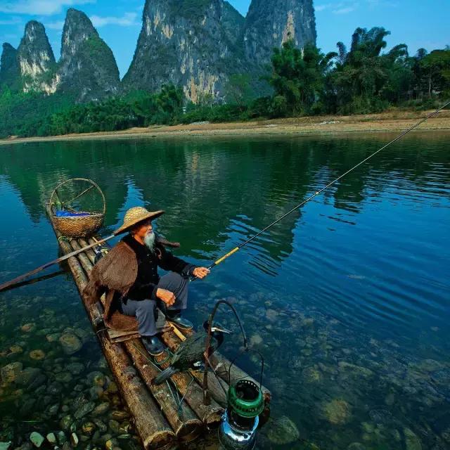 漓江上的渔鹰兄弟同弧悦黑坑上演怎样的故事？