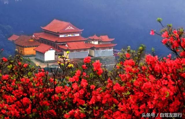 湖南赏花自驾游攻略,湖南旅游赏花攻略