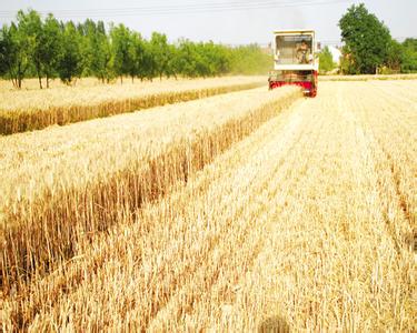 大连中储粮员工工资怎么算,唐山中储粮工资有多少